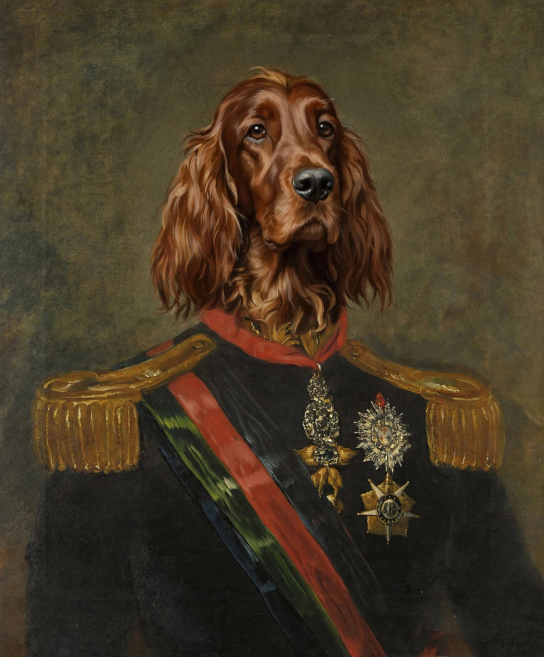 Quadro personalizado de cachorro setter irlandês como general com medalhas