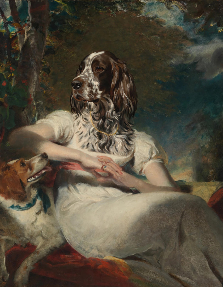 Quadro personalizado de cachorro spaniel com vestido branco imperial