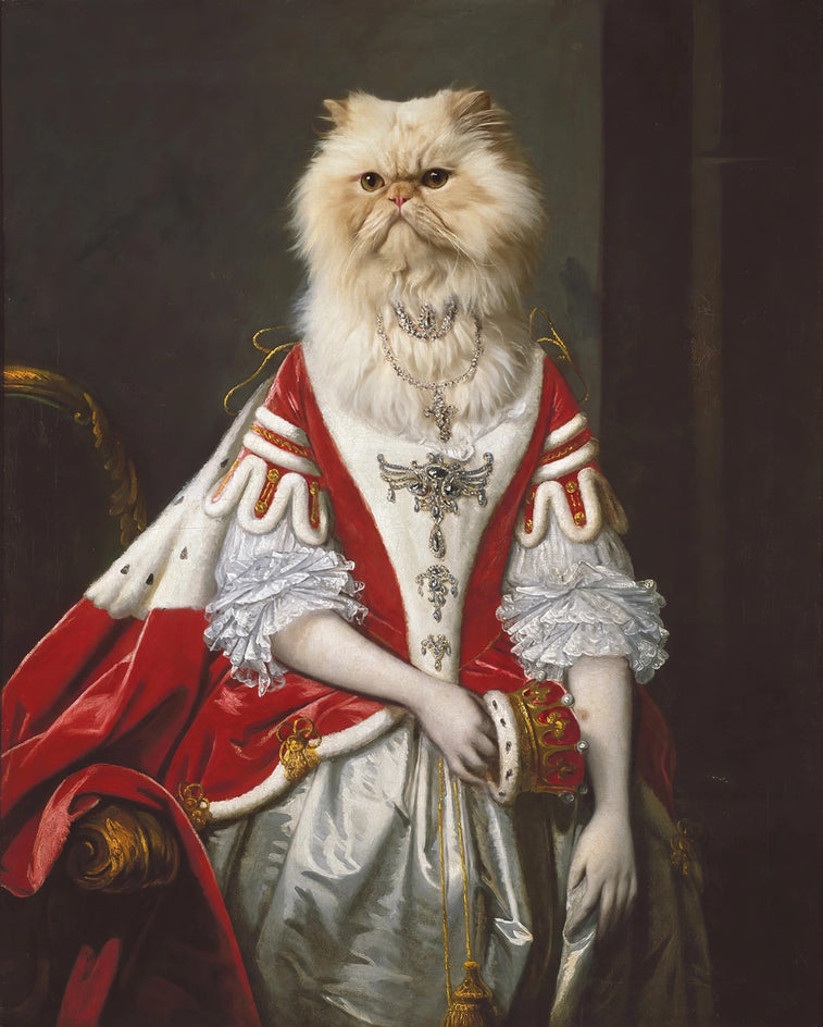 Quadro personalizado de gato gata persa de xale vermelho