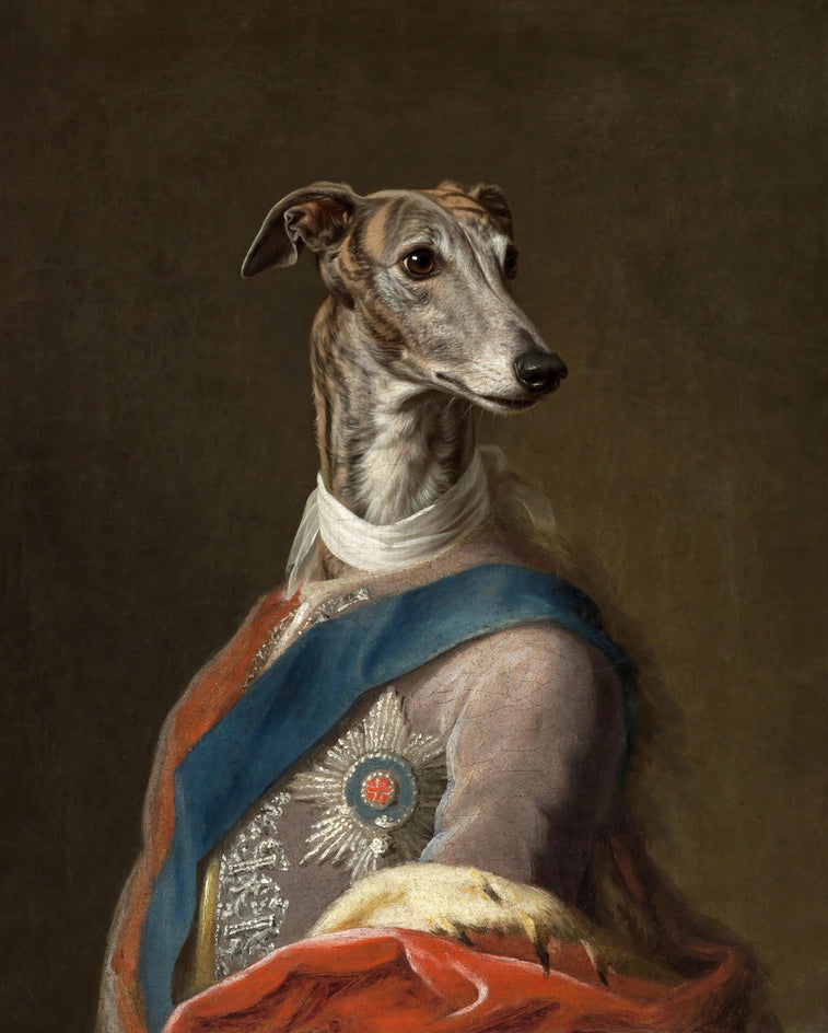 Quadro personalizado de galgo nobre com faixa azul