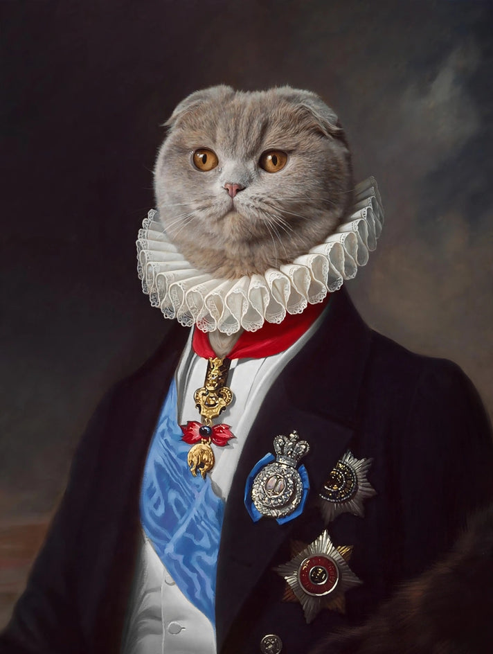 Quadro personalizado de gato com casaco negro de gala com faixa azul