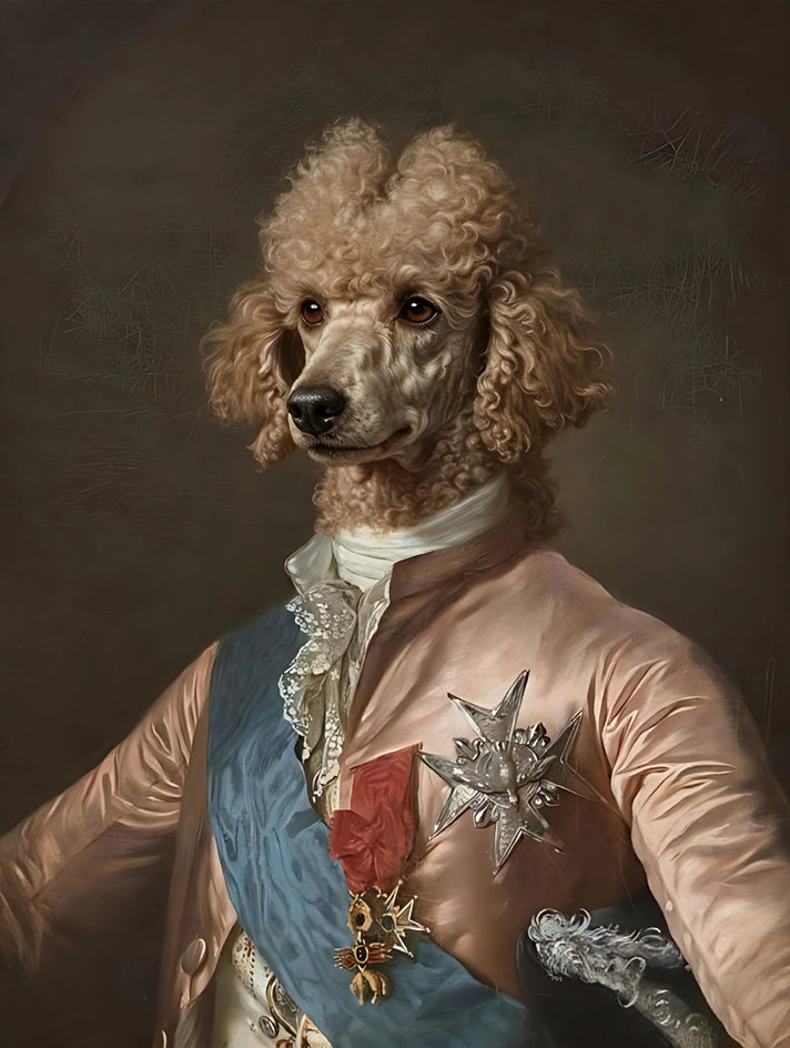 Quadro personalizado de poodle lorde com casaca salmão