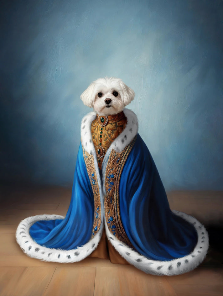 Quadro personalizado de cachorro bichon com manto azul