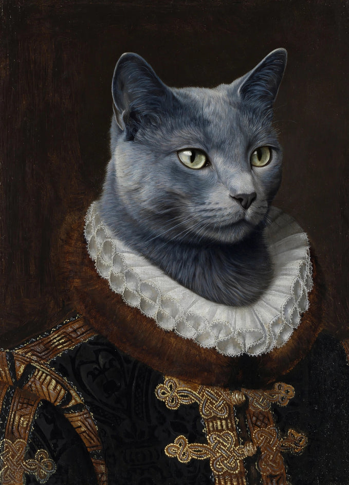 Quadro personalizado de gata azul-russa como conselheira em túnica com gola branca