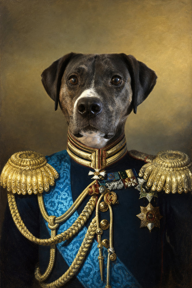 Coronel Faísca — Retrato Real Personalizado para Pet