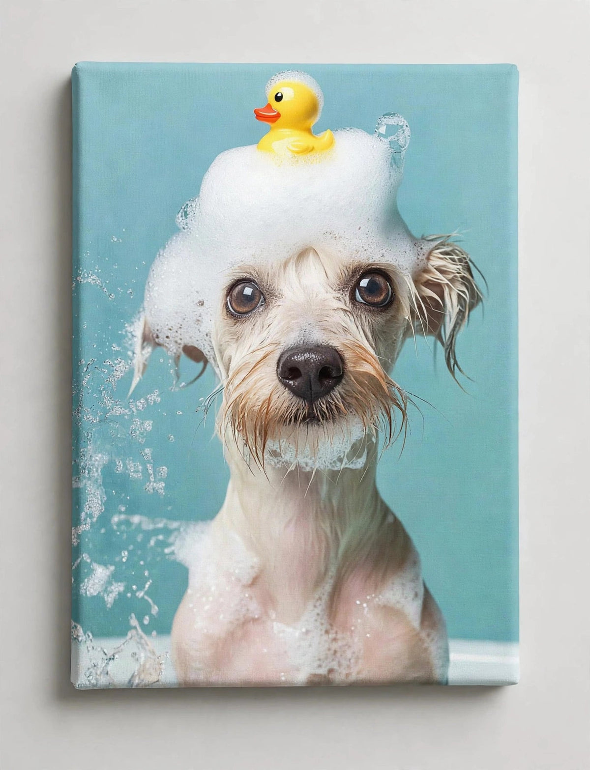 Quadro Personalizado de Pet — Banho de Espuma