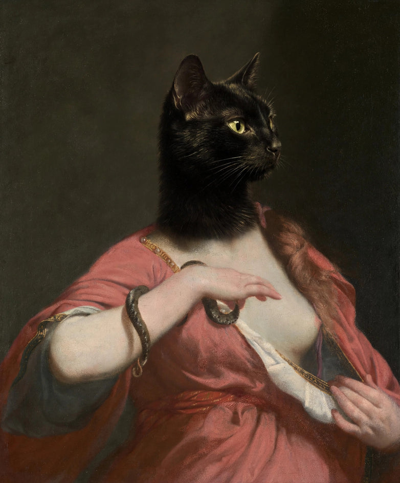 Quadro personalizado de gato gata negra do vestido rosa